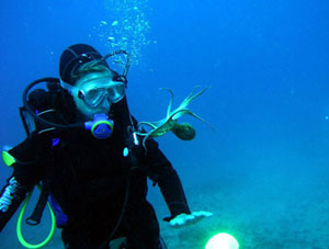 Diving (discovery & lincensed)